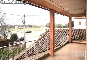 imagem_21