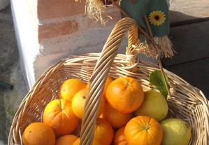 Laranjas, tangerinas, limões, tomarilhos e chuchus / xuxus biológicos