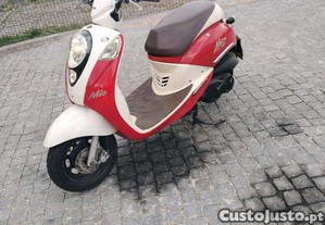 imagem_1