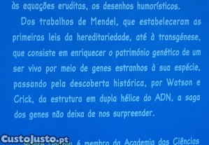 imagem_8