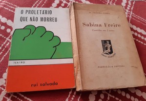 Obras de Rui Salvada e M. Teixeira Gomes
