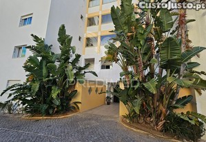 imagem_21