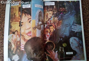 imagem_6