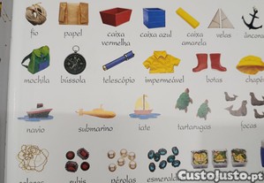 imagem_6