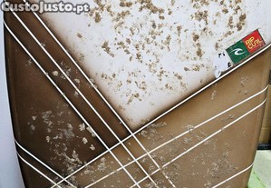 Prancha Skimming / Skimboard