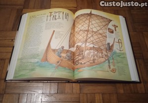 imagem_3