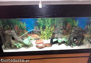 Aquario de 300 litros