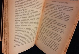 imagem_3