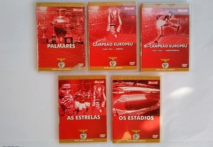 imagem_4