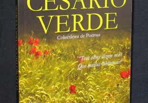 Livro O Livro de Cesário Verde Colectânea de Poemas