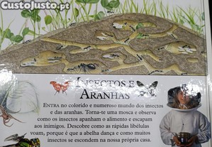 imagem_7