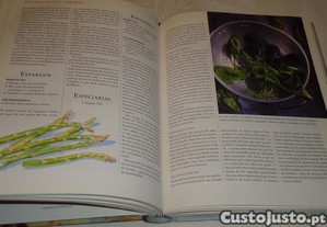 imagem_6