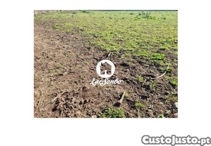 imagem_10