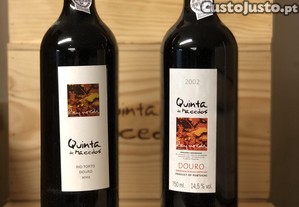 Mini Vertical  Quinta de Macedos (2002 - 2003)