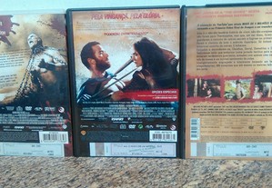 imagem_13