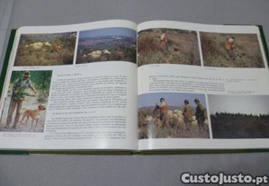 imagem_5