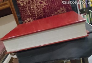 imagem_15