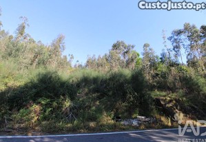 Terreno Agrícola em Lemenhe, Mouquim e Jesufrei