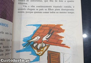 imagem_2
