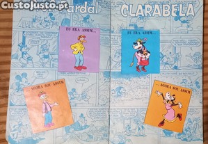 imagem_8
