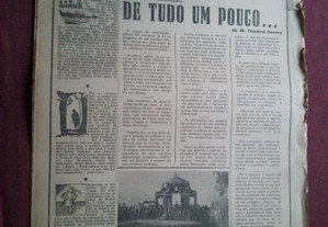 imagem_8