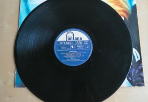 imagem_3