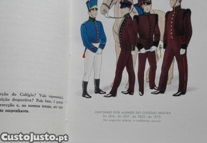 imagem_3
