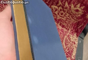 imagem_7