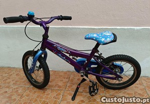 Bicicleta Berg Charm