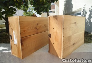 imagem_5