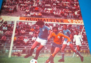imagem_6