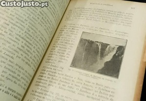 imagem_4