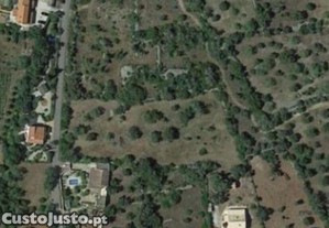 Terreno em So Brs de Alportel de 7880,00 m