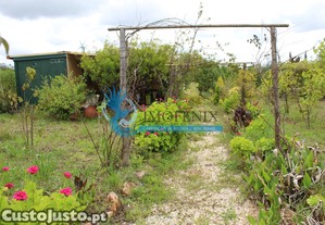 imagem_20