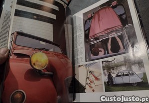 imagem_10