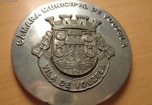 Medalha Câmara Municipal Vouzela Estanho Of.Envio