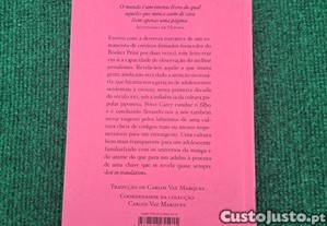 imagem_2