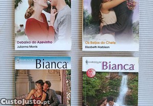 imagem_4