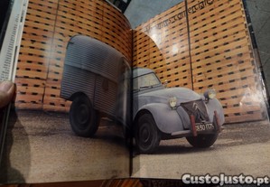 imagem_5