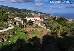 imagem_22