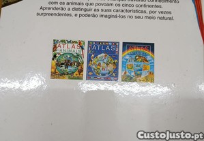 imagem_8