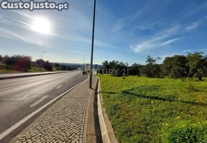 imagem_1
