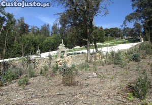 Terreno Misto Com 13.800 M2 Em Guilhabreu V Do...