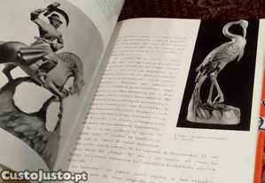 imagem_12