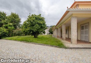 imagem_7