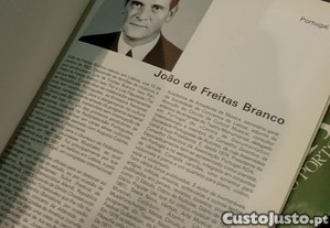 imagem_12