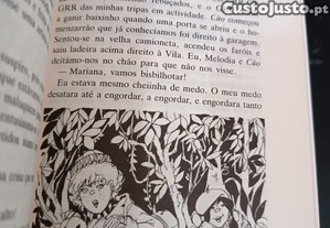 imagem_7