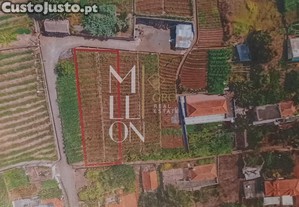 Terreno  nos Canhas