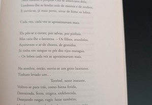 imagem_5