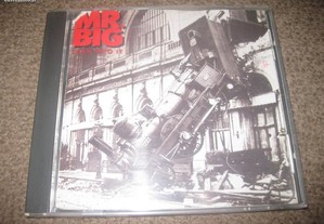 CD dos Mr. Big "Lean Into It" Portes Grátis!